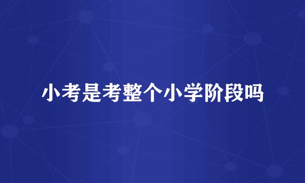 小考是考整个小学阶段吗