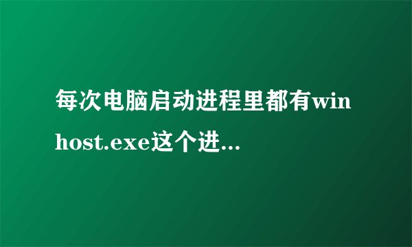 每次电脑启动进程里都有winhost.exe这个进程。那位知道他是什么,...