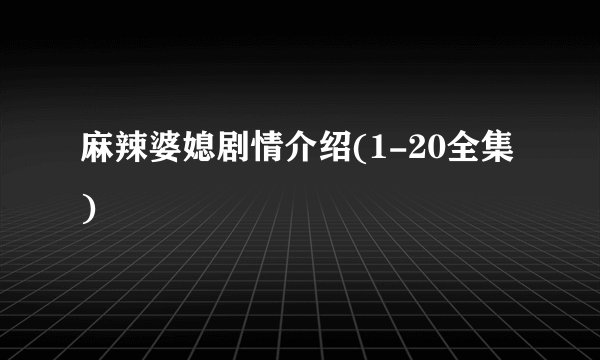 麻辣婆媳剧情介绍(1-20全集)