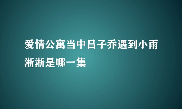 爱情公寓当中吕子乔遇到小雨淅淅是哪一集