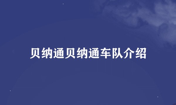 贝纳通贝纳通车队介绍