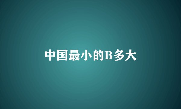 中国最小的B多大