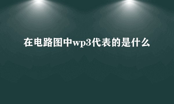 在电路图中wp3代表的是什么