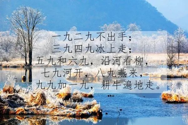 只要胆子大下一句顺口溜大全