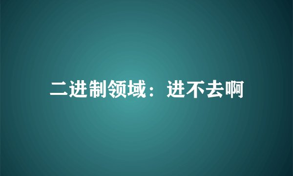 二进制领域：进不去啊