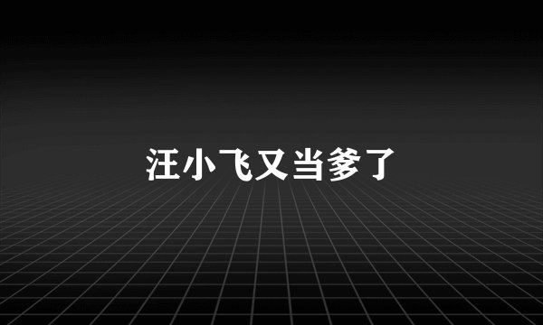 汪小飞又当爹了
