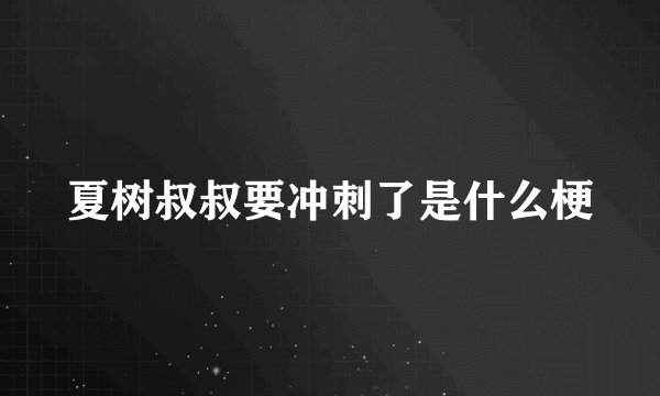 夏树叔叔要冲刺了是什么梗
