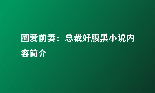 圈爱前妻：总裁好腹黑小说内容简介