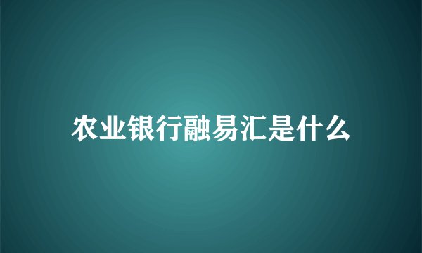 农业银行融易汇是什么