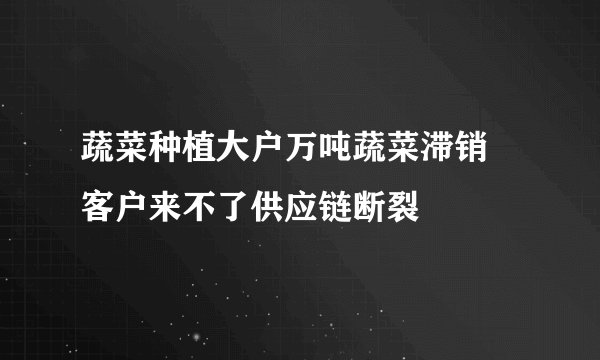 蔬菜种植大户万吨蔬菜滞销 客户来不了供应链断裂