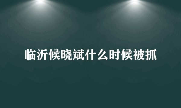 临沂候晓斌什么时候被抓