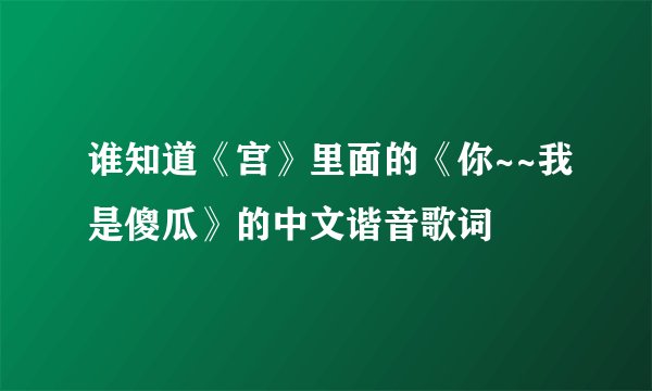谁知道《宫》里面的《你~~我是傻瓜》的中文谐音歌词
