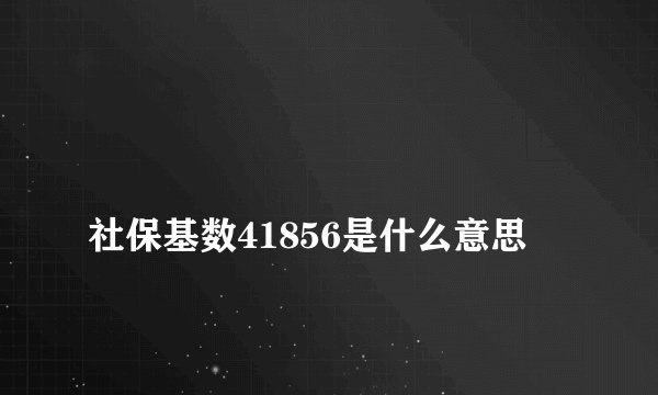 
社保基数41856是什么意思

