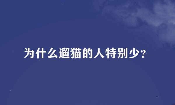 为什么遛猫的人特别少？