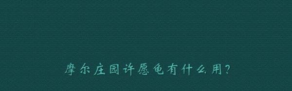摩尔庄园许愿龟有什么用？