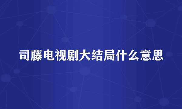 司藤电视剧大结局什么意思