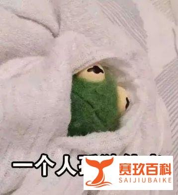 中国高校单身率排行榜！看看你的学校上榜了吗？