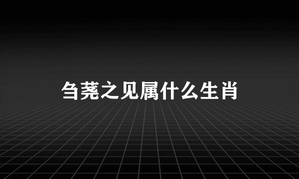 刍荛之见属什么生肖