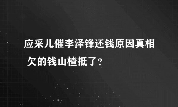 应采儿催李泽锋还钱原因真相 欠的钱山楂抵了？