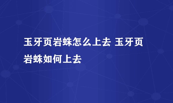 玉牙页岩蛛怎么上去 玉牙页岩蛛如何上去