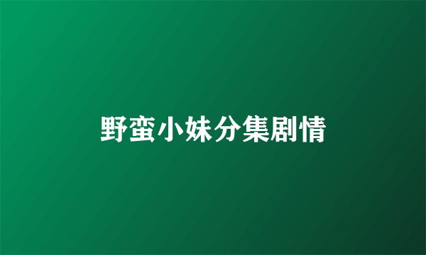 野蛮小妹分集剧情