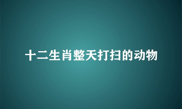 十二生肖整天打扫的动物