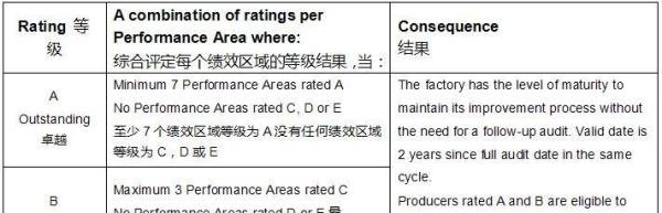 BSCI验厂报告下来如何去查询使用？