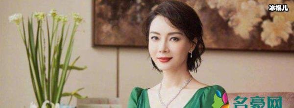 陈数老公赵胤胤名字怎么念 赵胤胤婚史以及详细资料曝光