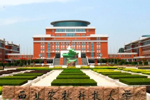 西北农林科技大学2022分数线