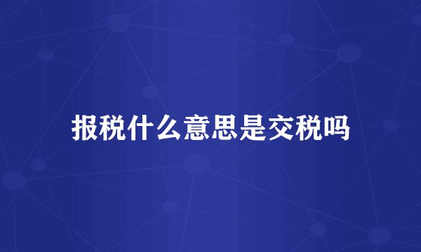 报税什么意思是交税吗