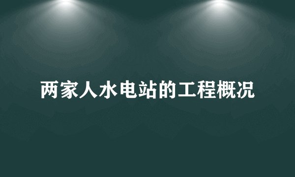 两家人水电站的工程概况