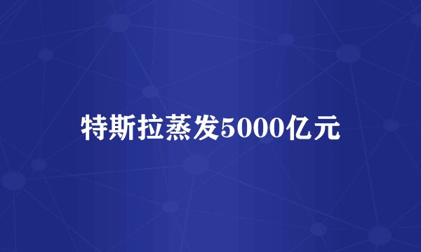 特斯拉蒸发5000亿元