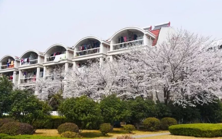 南京财经大学是不是很烂？