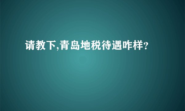 请教下,青岛地税待遇咋样？