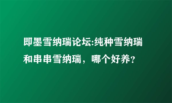 即墨雪纳瑞论坛:纯种雪纳瑞和串串雪纳瑞，哪个好养？