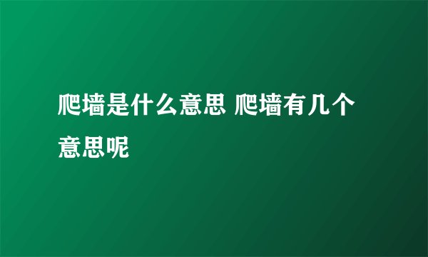 爬墙是什么意思 爬墙有几个意思呢