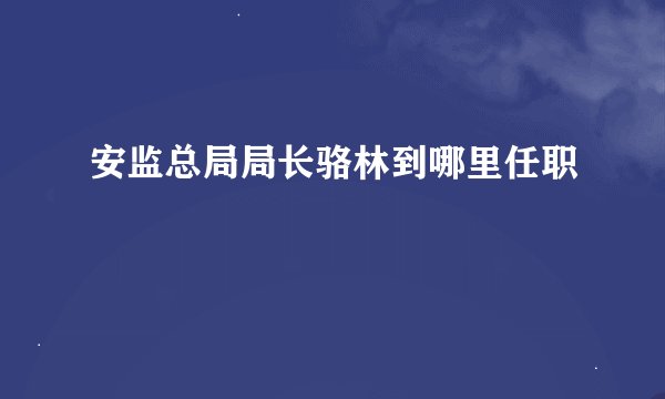 安监总局局长骆林到哪里任职