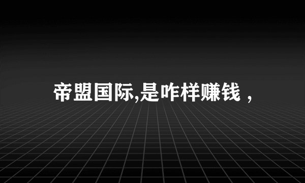 帝盟国际,是咋样赚钱 ,