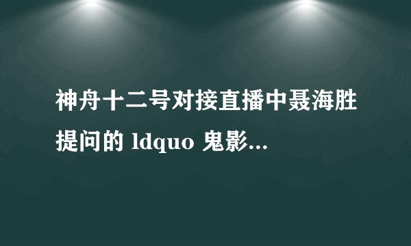 神舟十二号对接直播中聂海胜提问的 ldquo 鬼影 rdquo 是什么? - 知乎