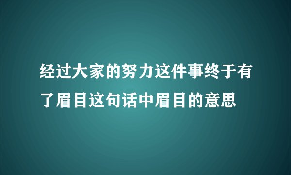 经过大家的努力这件事终于有了眉目这句话中眉目的意思