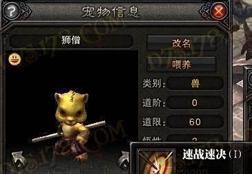 斗战神龙女带什么灵兽