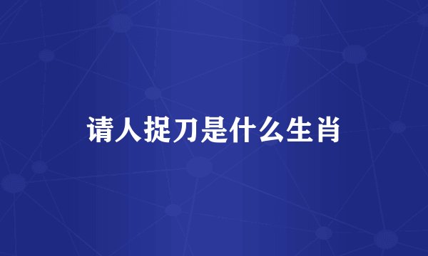 请人捉刀是什么生肖