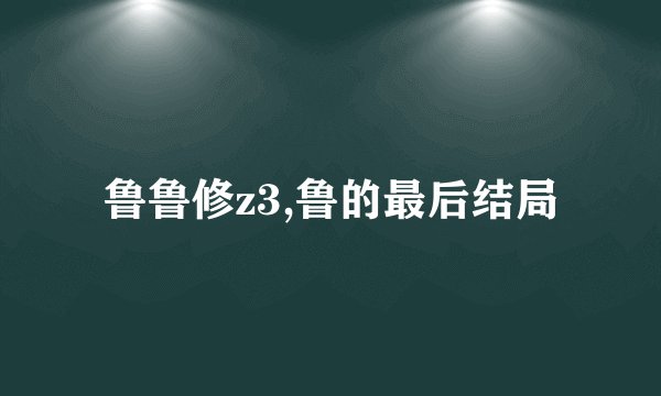 鲁鲁修z3,鲁的最后结局