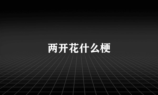 两开花什么梗