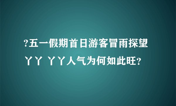 ?五一假期首日游客冒雨探望丫丫 丫丫人气为何如此旺？