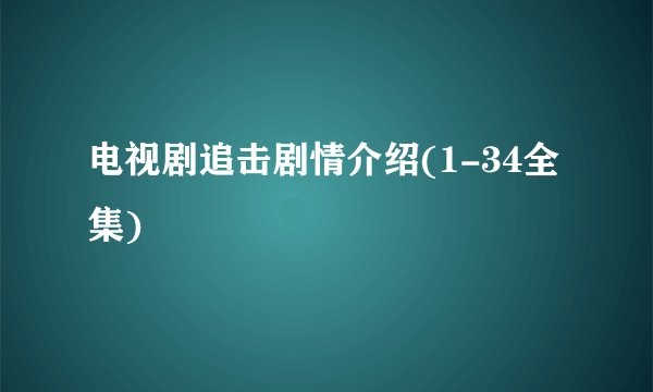 电视剧追击剧情介绍(1-34全集)