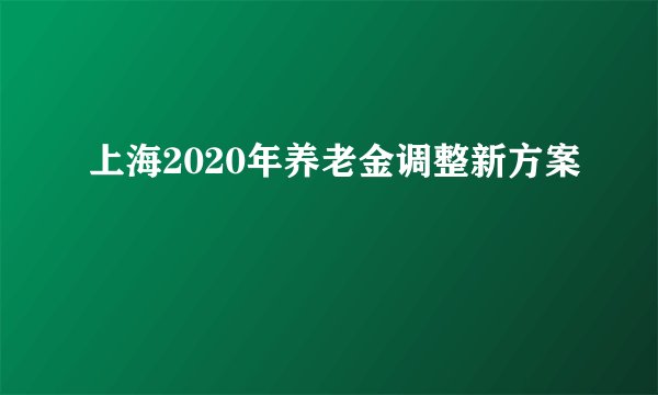 上海2020年养老金调整新方案