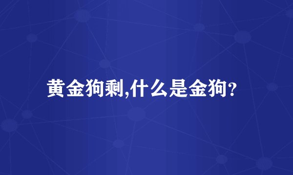 黄金狗剩,什么是金狗？