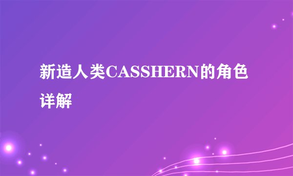 新造人类CASSHERN的角色详解