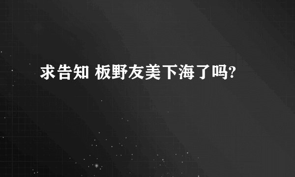 求告知 板野友美下海了吗?